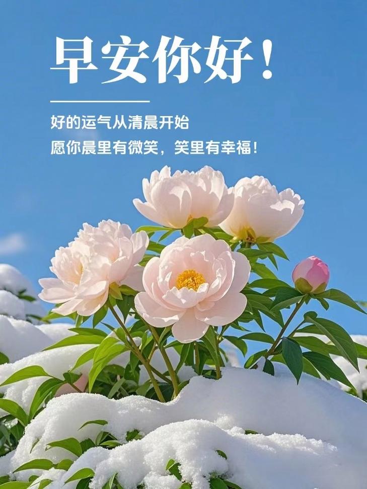 早上好，冬天暖心的早上好问候语精选短句  第1张