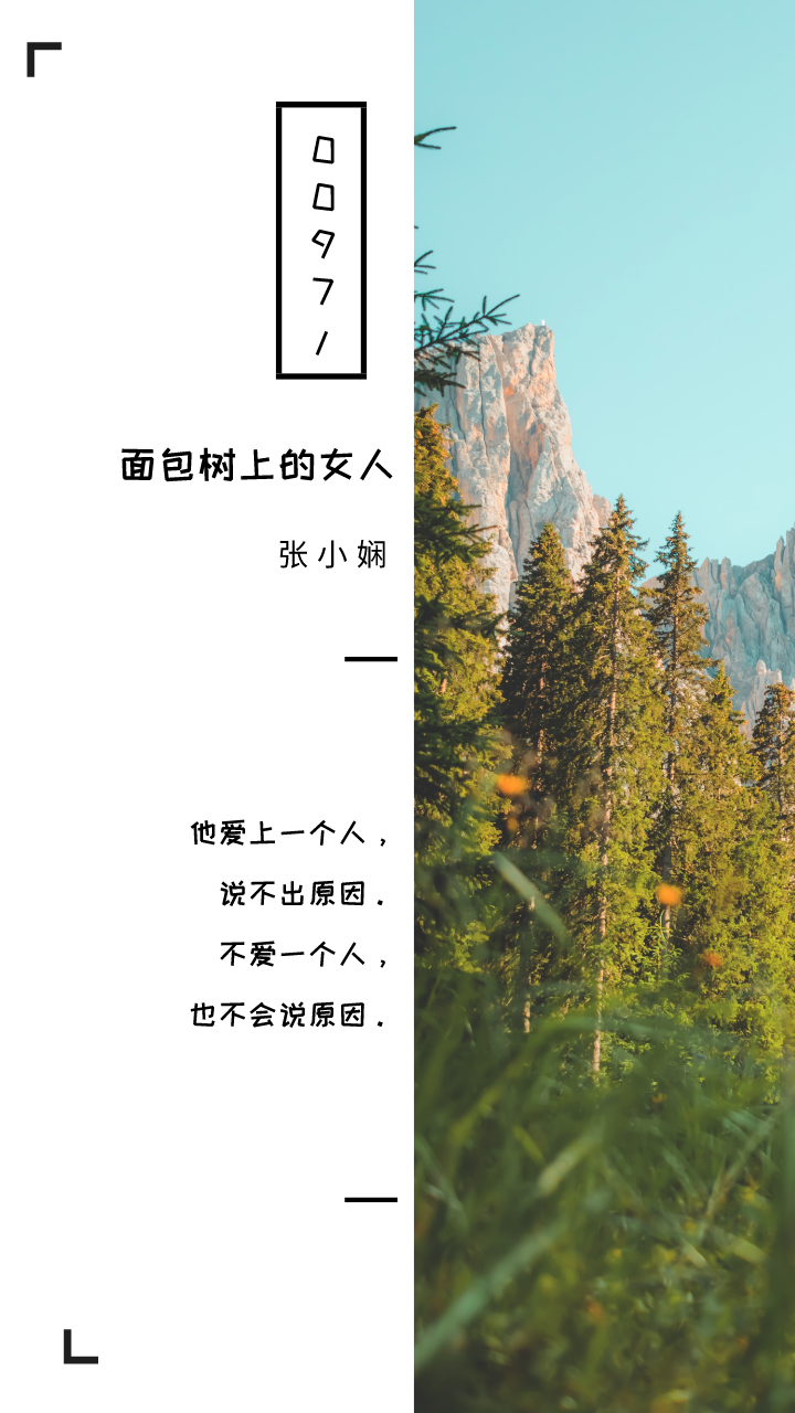 摘抄 | 《面包树上的女人》经典语录名句，韵味无穷  第1张