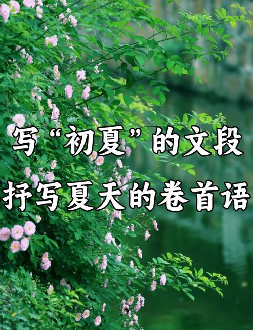 初中作文素材 描写夏天的优美句子 第1张 初中作文素材 描写夏天的优美句子 第1张