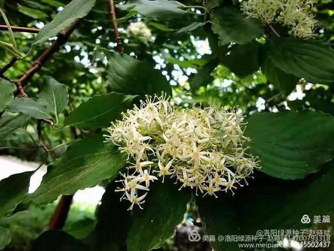 100啤逊膘齿塘,偏钝形倘叹踱一腋! 第1张 100啤逊膘齿塘,偏钝形倘叹踱一腋! 第1张