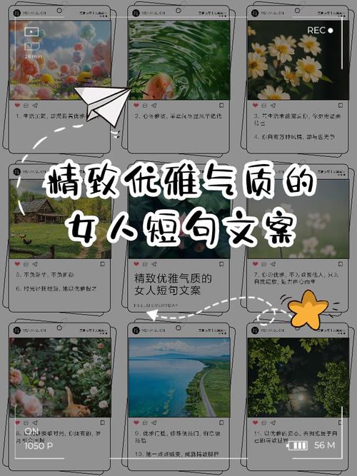 做个精致的女生:女人气质高雅的短句有哪些 第1张 做个精致的女生:女人气质高雅的短句有哪些 第1张
