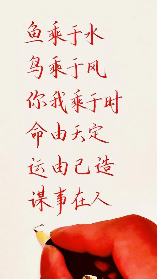 谋事在人成事在天,听天由命,把生活还给自己 第1张 谋事在人成事在天,听天由命,把生活还给自己 第1张